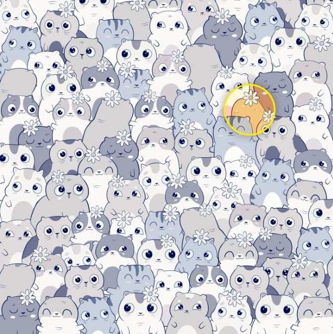 Pravilni odgovon na uganko s krompirjem.