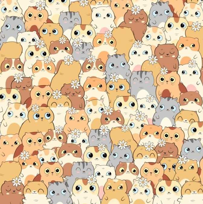 Na voljo imate le 11 sekund: le najbolj pozorni bodo našli krompir med mačkami.