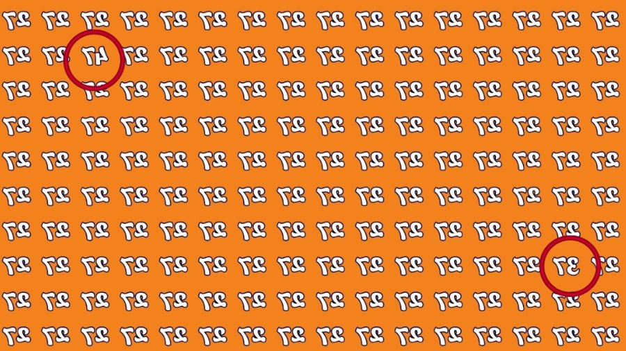 Težaven IQ test: le genialci lahko v 13 sekundah najdejo obrnjena števila 47 in 37 Težaven IQ test: le genialci lahko v 13 sekundah najdejo obrnjena števila 47 in 37