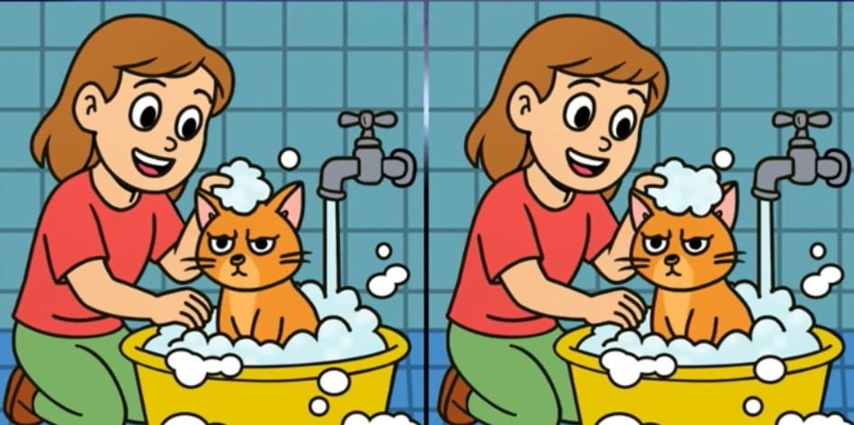 sestavljanka sestavljanka