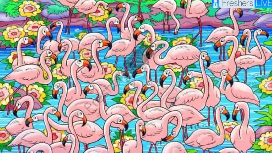 Poiščite dekle med flamingi v 8 sekundah: ob tej uganki se vam bo zavrtelo v glavi V 8 sekundah poiščite dekle med flamingi: ta uganka bo poskrbela, da se vam bo zavrtelo v glavi.