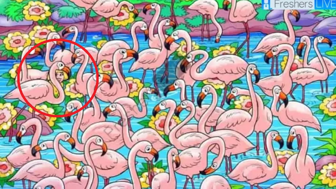 Poiščite dekle med flamingi v 8 sekundah: ob tej uganki se vam bo zavrtelo v glavi V 8 sekundah poišči dekle med flamingi: ta uganka ti bo povzročila vrtoglavico