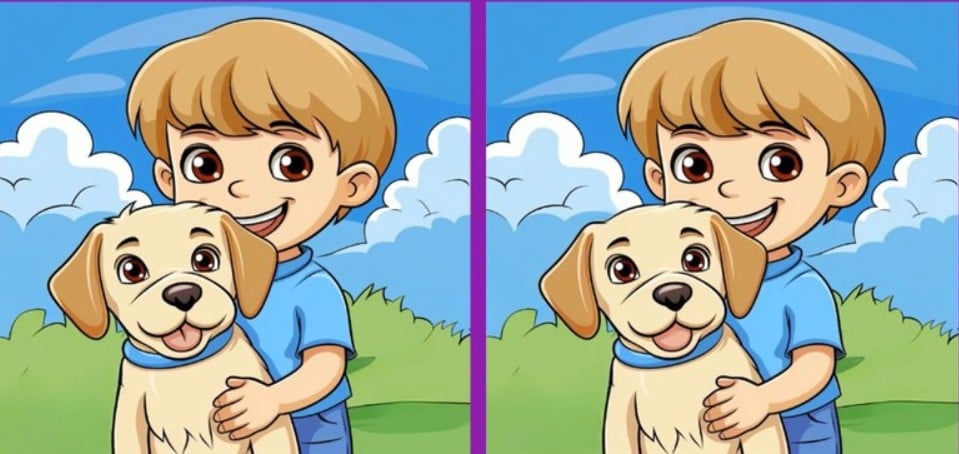 sestavljanka sestavljanka