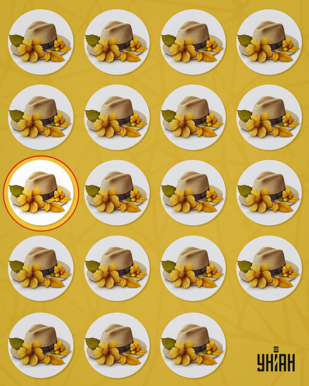 Čudni klobuk se je od drugih razlikoval po majhnem detajlu / kolaž Moje Čudni klobuk se je od drugih razlikoval po majhni podrobnosti / kolaž Moje