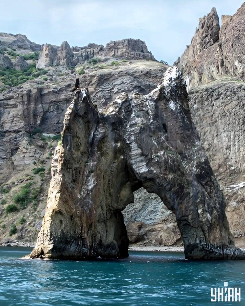 Za iskanje orla na sliki sestavljanke / kolaža s fotografijo Moje je potrebnih manj kot 10 sekund.