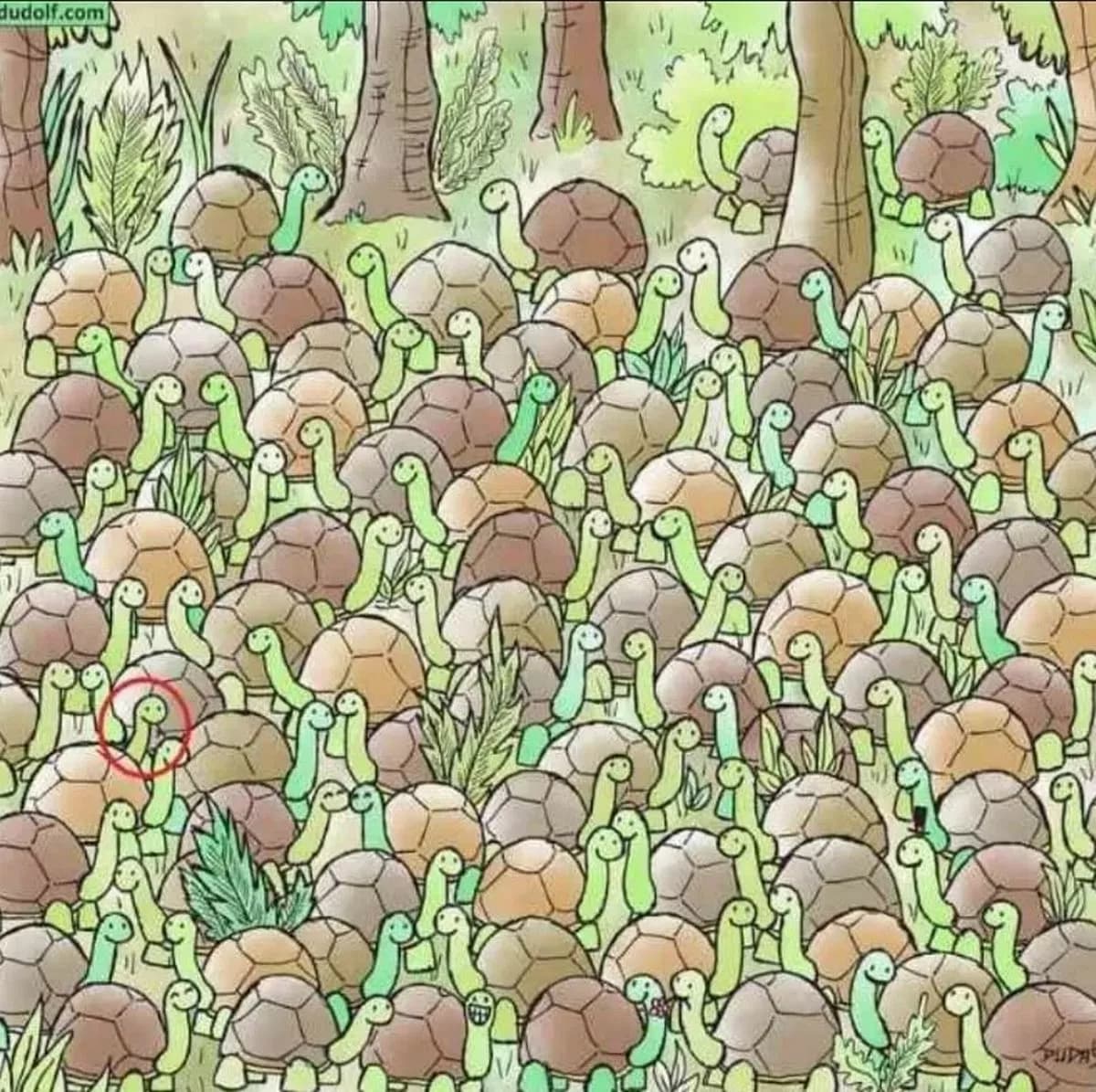 Pravilni odgovor na uganko Pravilen odgovor na uganko