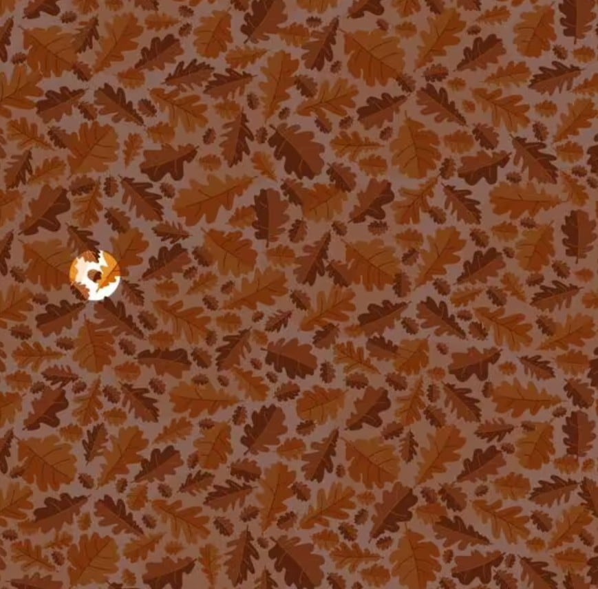 Rešitev uganke Reševanje uganke