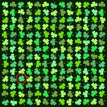 Pravilni odgovor na uganko Pravilni odgovor na uganko