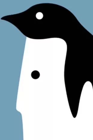 Kaj ste najprej videli na sliki? Kaj ste najprej opazili na sliki?