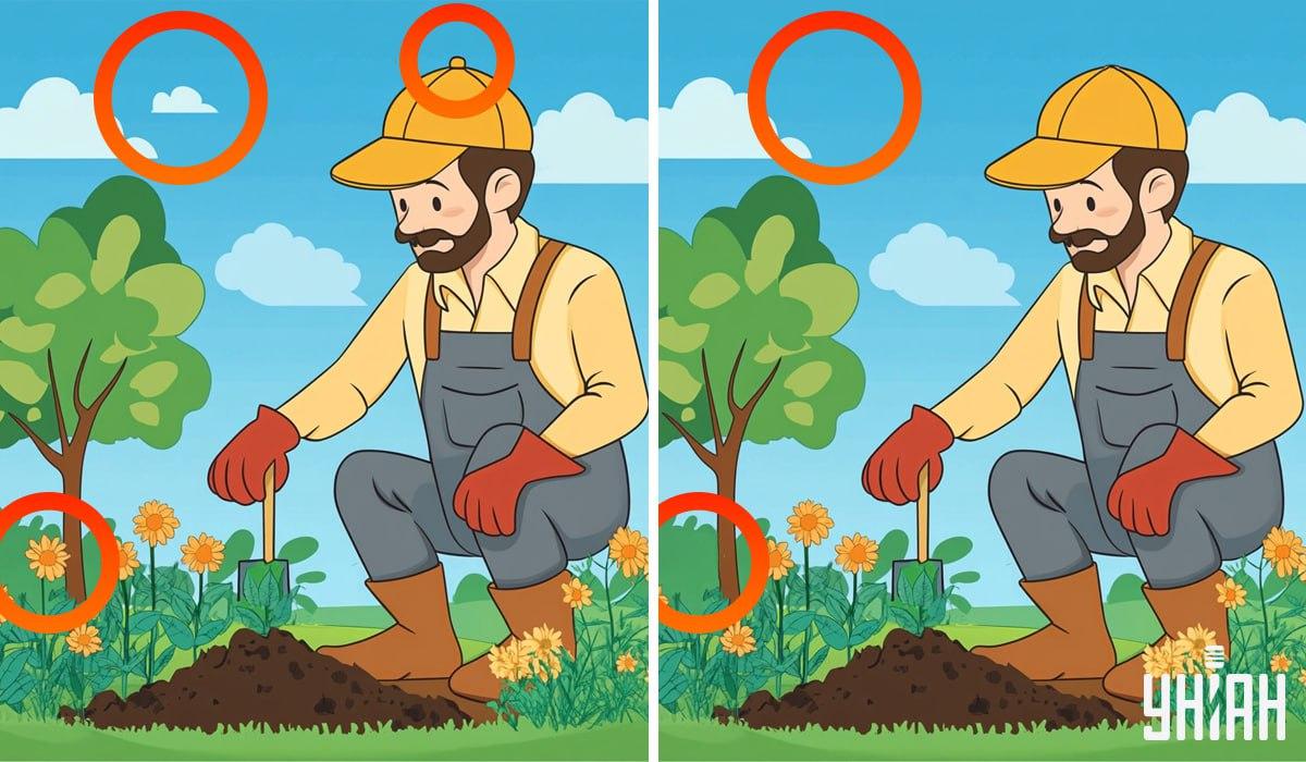 Kolaž Moje z označenimi razlikami