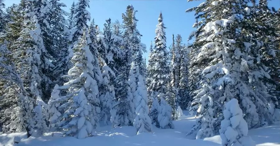Optična iluzija Optična iluzija