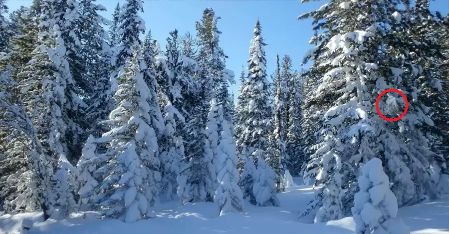 Optična iluzija Optična iluzija