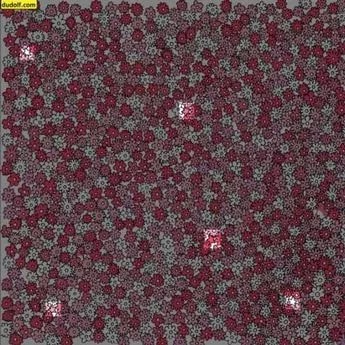 Pravilni odgovor na uganko Pravilni odgovor na uganko je