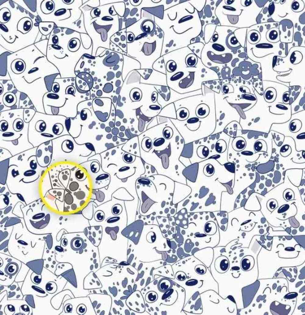 Metulj je bil na desni strani / risba Brightside Metulj je bil na desni strani / risba Brightside