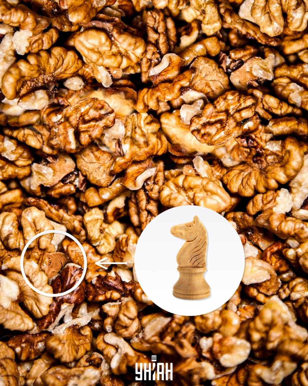 Odziv / fotografija Moje Odziv / fotografija Moje