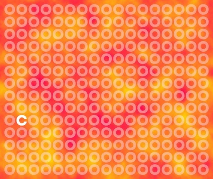 Pravilni odgovor: črka C je označena