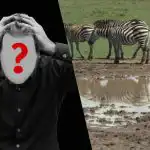 Hitri IQ test: poiščite psa na polju v 6 sekundah Hitri IQ test: poiščite psa na polju v 6 sekundah