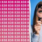 Imate visok IQ, če lahko med več sto drugimi številkami