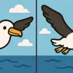 IQ test: v 31 sekundah poiščite 3 razlike na sliki