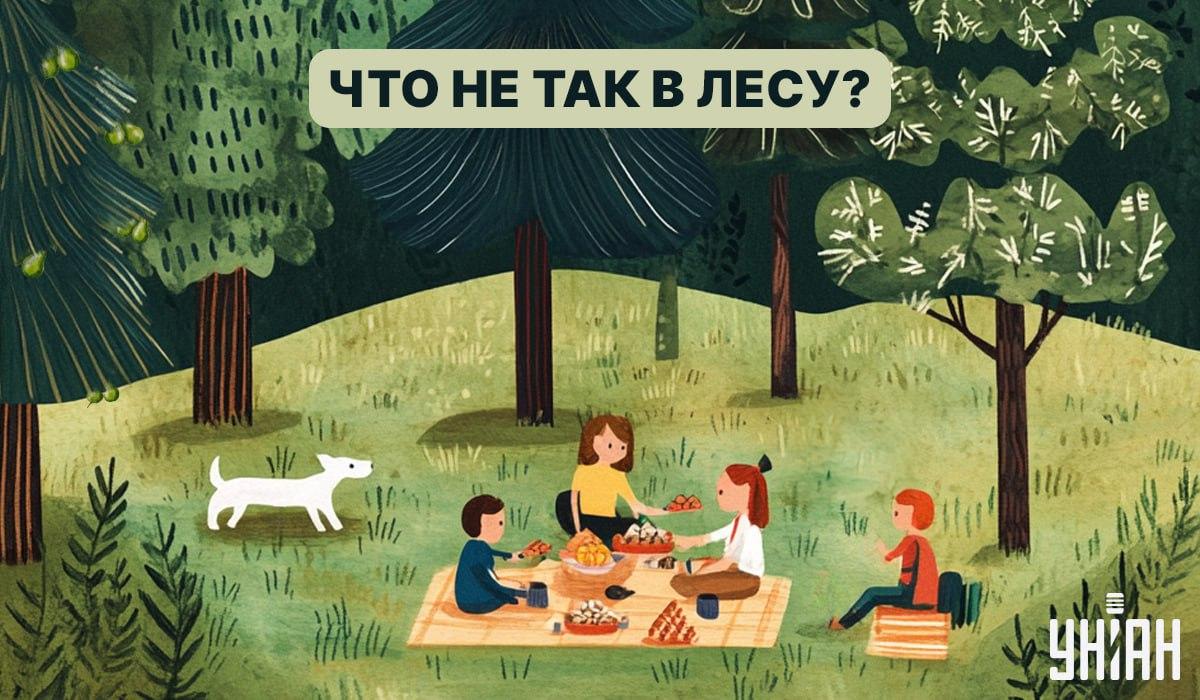 Poiščite napako v gozdu v 5 sekundah: hiter IQ test Poiščite hrošča v gozdu v 5 sekundah: hiter test za preverjanje IQ