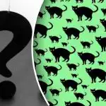 Izziv tudi za najbolj ostre oči: v 30 sekundah poiščite