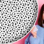 Kje se skriva panda: v petih sekundah jo lahko najdejo