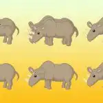 Koliko nosorogov je na sliki: le genij bi lahko pravilno