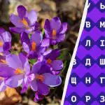 Le 1 % ljudi lahko v 11 sekundah najde besedo "crocus": zelo težka uganka, ki jo je treba rešiti Le 1 % ljudi lahko v 11 sekundah najde besedo