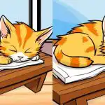 Le najbolj pozorni bodo v 12 sekundah našli 3 razlike