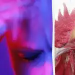 Le rojeni vohun bo v 13 sekundah razkril čudnega petelina: zapletena ugankarska igra Le rojeni vohun bo v 13 sekundah razkril čudnega petelina: