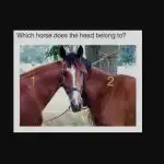 Na spletu se je pojavila nova uganka: to iluzijo lahko