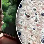 Optična iluzija za najbolj pozorne: le genialci bodo našli skriti