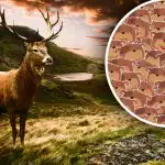 Samo ljudje z visokim inteligenčnim kvocientom se lahko spopadejo z