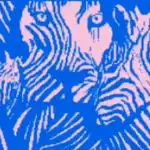 Slikovni test: optična iluzija bo pokazala, kako družabni ste Slikovni test: optična iluzija bo pokazala, kako družabni ste