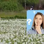 Štorkljo bodo v 9 sekundah našli le ljudje z neverjetnim