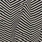 Uganka, ki trenira vaš vid: poiščite skrito številko v samo