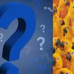 V 9 sekundah poiščite piščanca med desetinami papig: uganka s