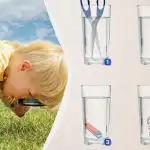 V katerem kozarcu je več vode: presenetljivo zahtevna logična uganka