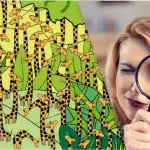 V tej optični iluziji bodo kačo med žirafami v 11