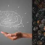 Vsi vidijo stožce, vi pa morate v 7 sekundah najti