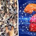 Vsi vidijo žirafe, vi pa morate v 8 sekundah najti