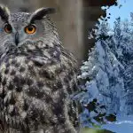 Zapletena uganka za genije: le najbolj pozorni bodo sovo opazili