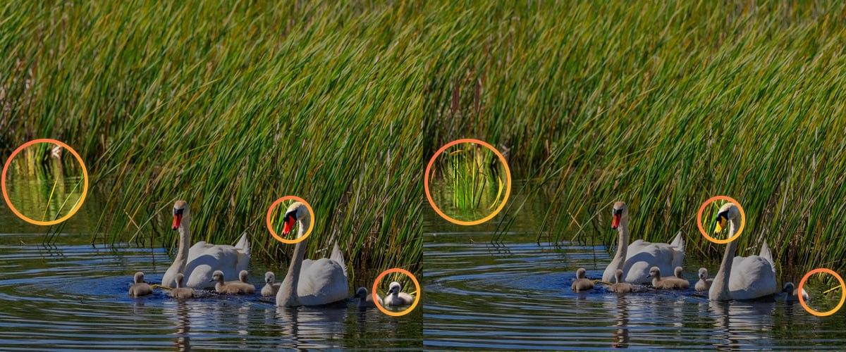 Za reševanje sestavljanke je bilo treba biti pozoren na majhne podrobnosti / kolaž Moje