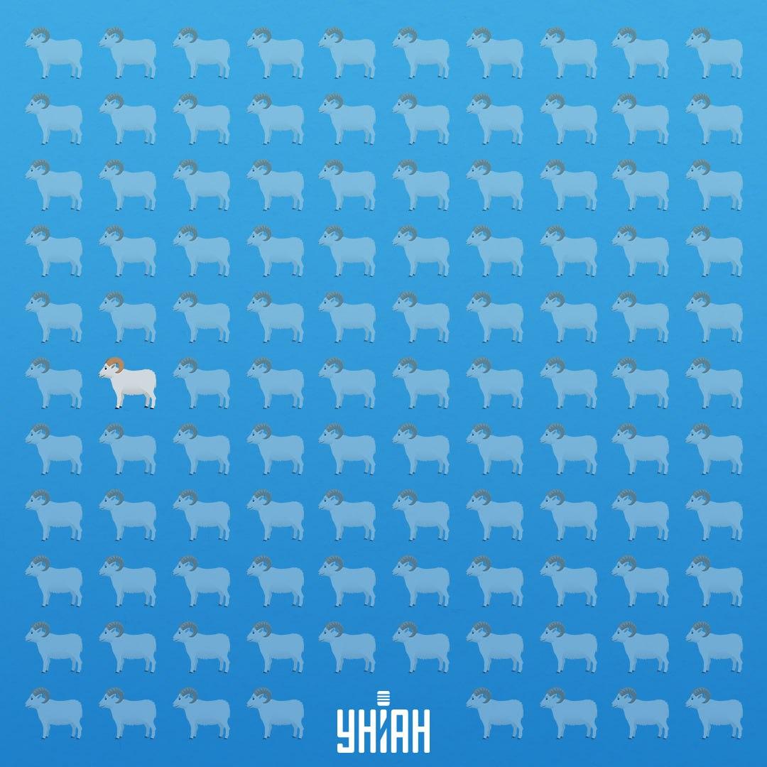 Bil je v sedmi vrsti na levi strani / Moje Collage