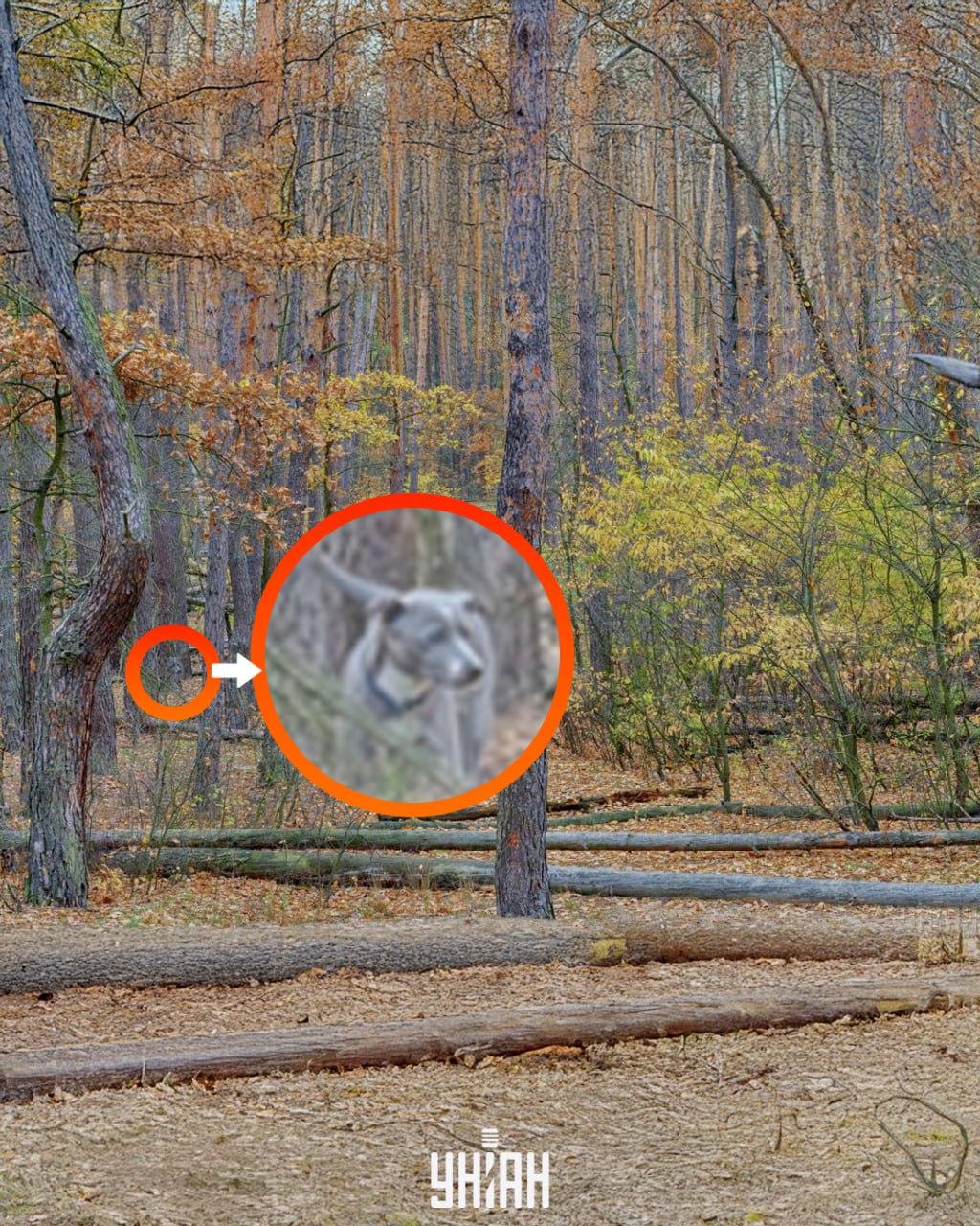 Fotografija Moje, Falin Volodymyr