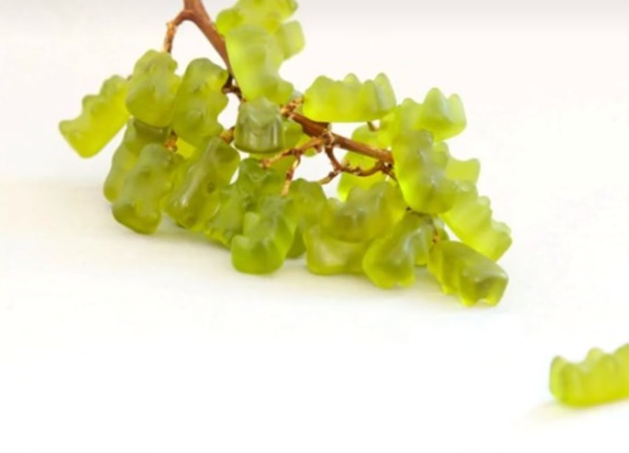 Najdi ponarejeno kozo