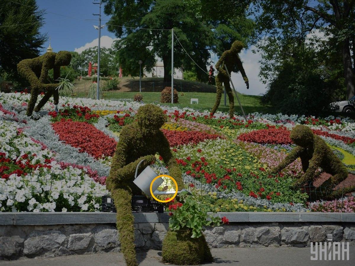 Fotografija Moje Fotografija Moje s prikazanim vrabcem