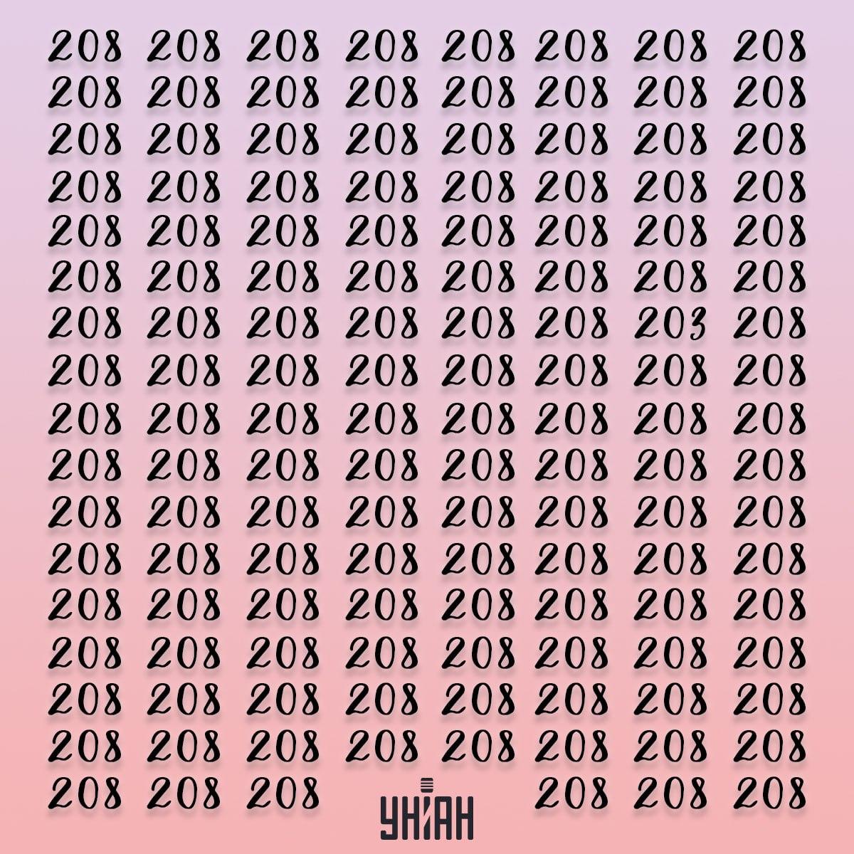 Iluzija s številkami 208