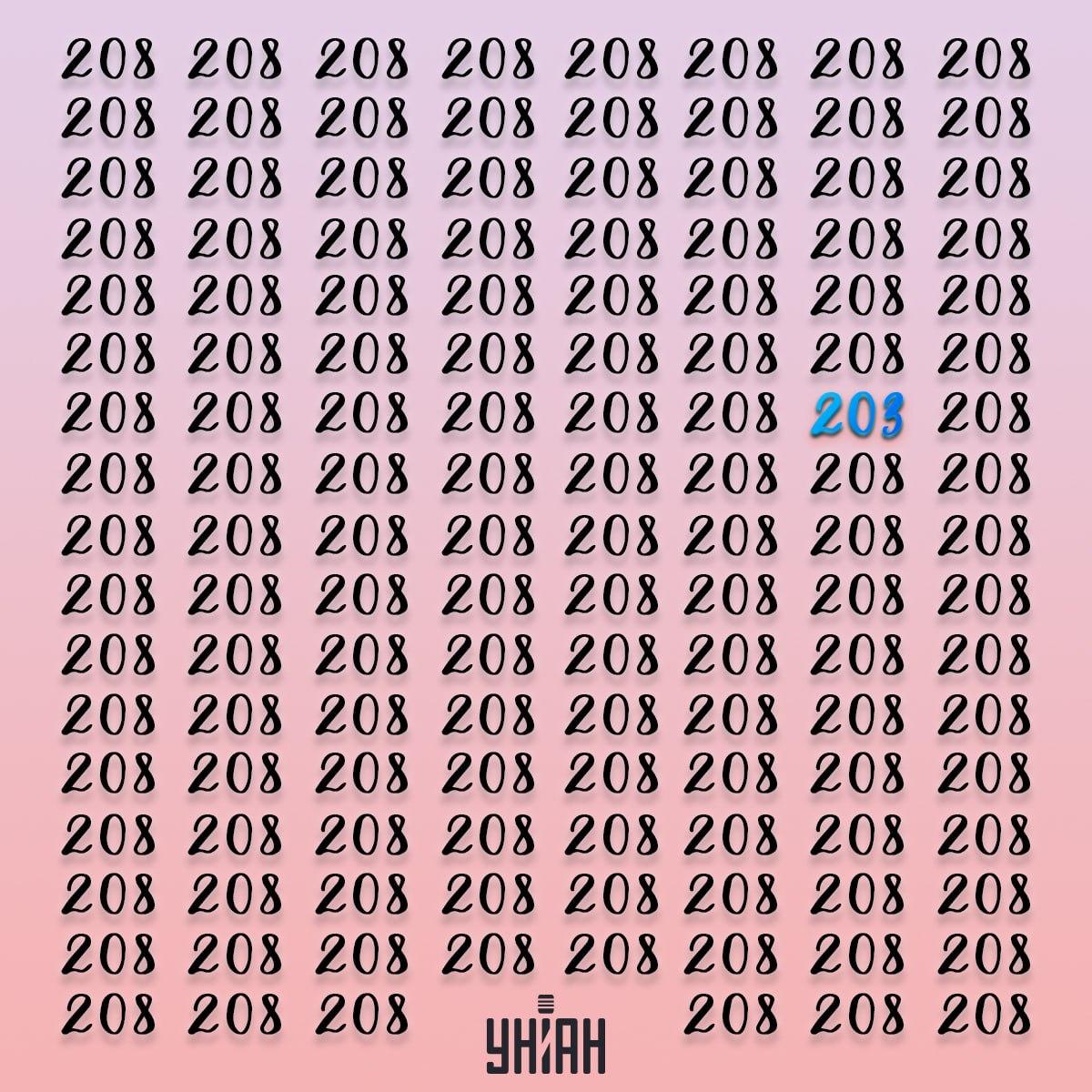 Rešitev iluzije s številko 203