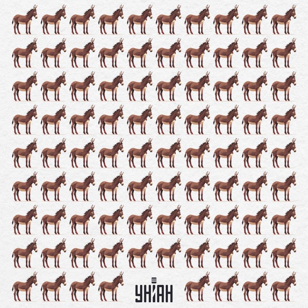 Uganka: Poiščite drugačnega osla